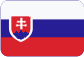 LeasePlan Česká republika,s.r.o. Slovensky